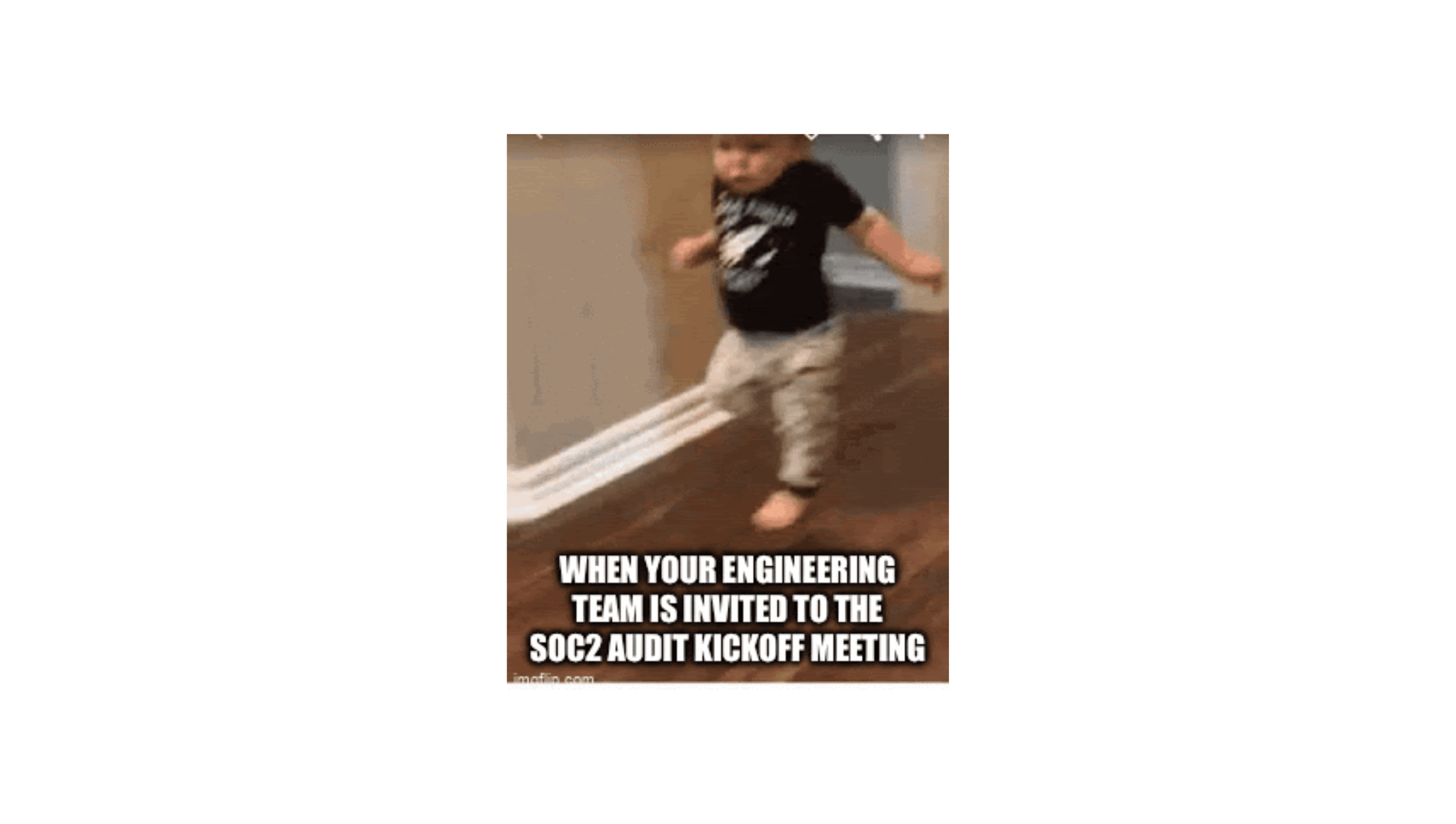 Auditor Meme3