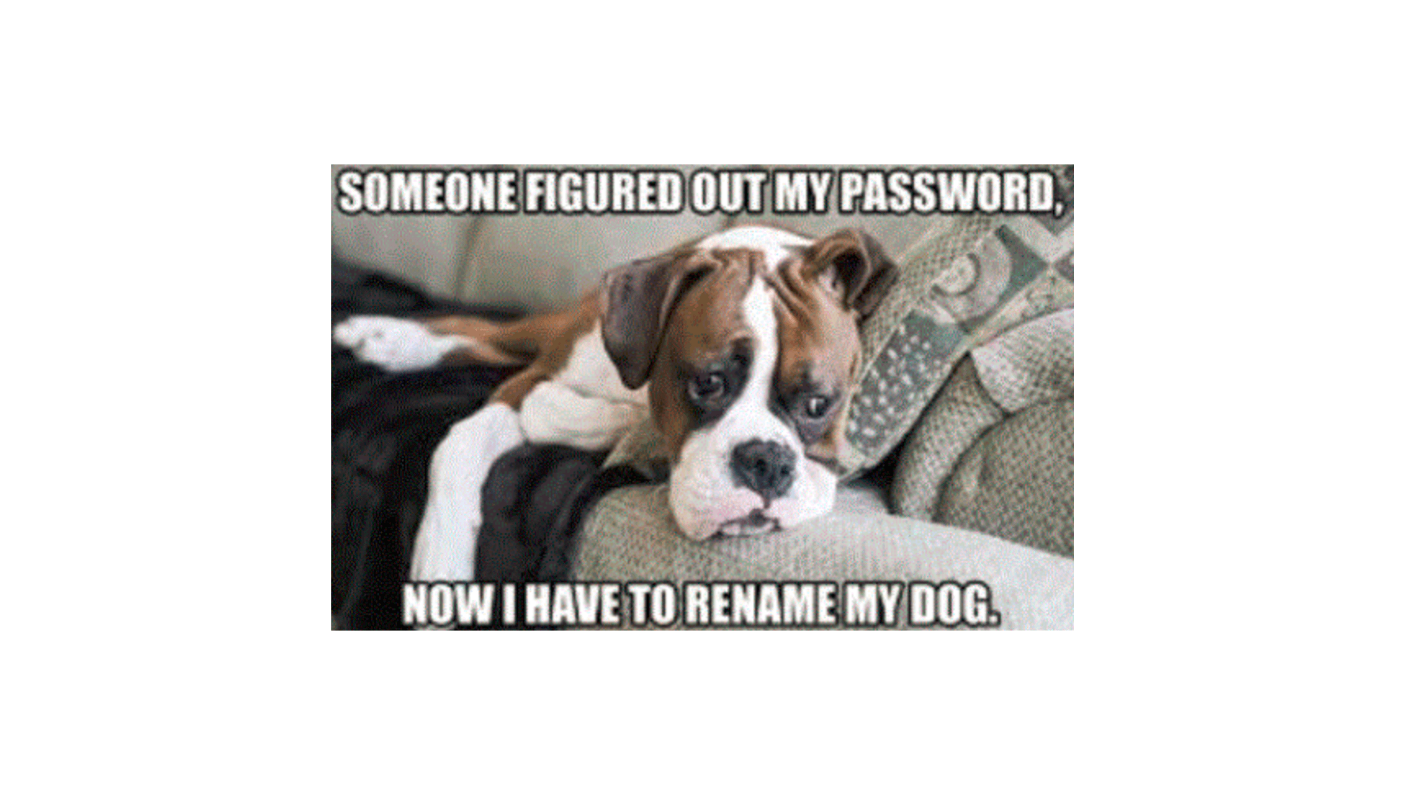 Cybersecurity Meme 14